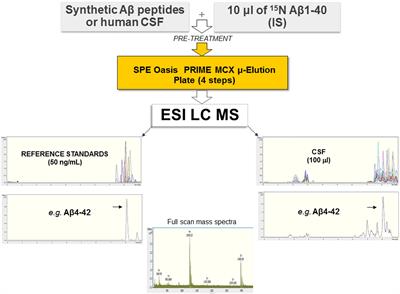 N-Terminally Truncated and Pyroglutamate-Modified Aβ Forms Are Measurable in Human Cerebrospinal Fluid and Are Potential Markers of Disease Progression in Alzheimer’s Disease